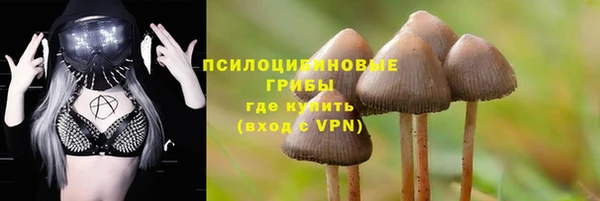 первитин Горно-Алтайск