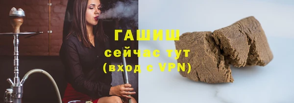 метадон Гусев