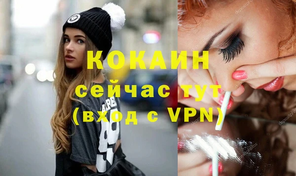 метадон Гусев